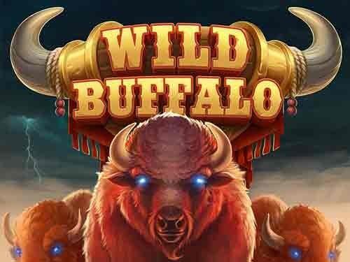와일드 버팔로 Wild Buffalo