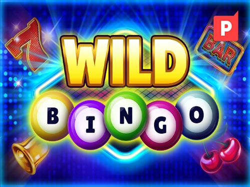 와일드 빙고 Wild Bingo