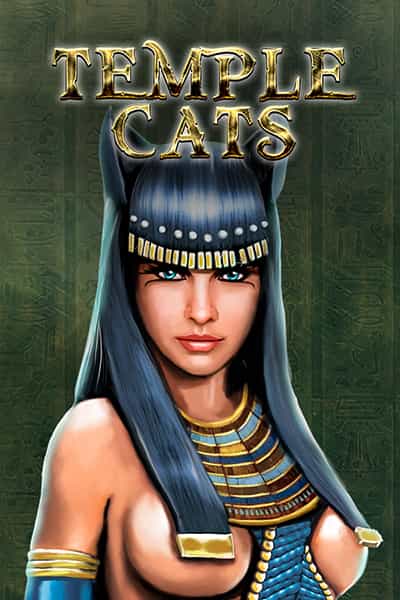 템플 캣츠 Temple Cats
