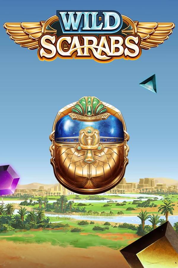 와일드 스캐럽스 Wild Scarabs