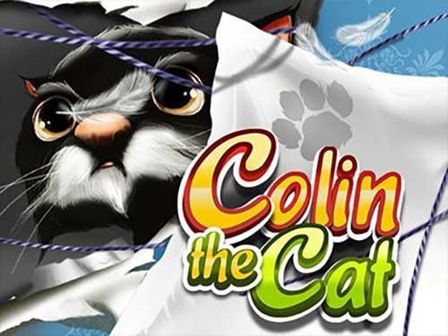 콜린 더 캣 Colin the Cat