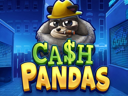 캐시 판다스 Cash Pandas