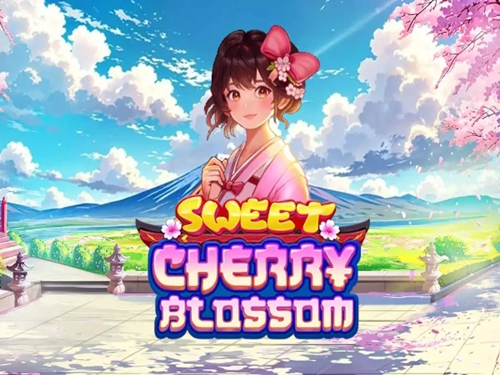 스위트 체리 블라썸 Sweet Cherry Blossom