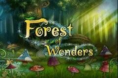 포레스트 원더스 Forest Wonders