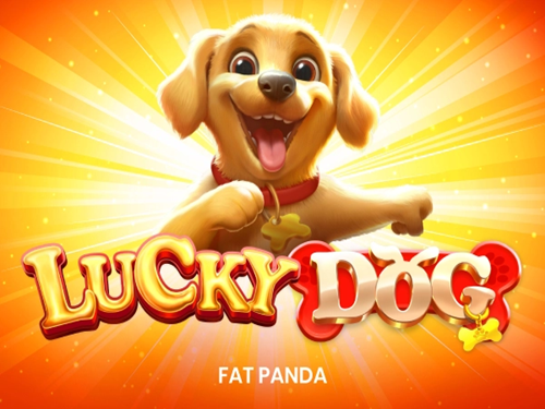 럭키 도그 Lucky Dog