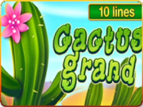 캑터스 그랜드 Cactus Grand