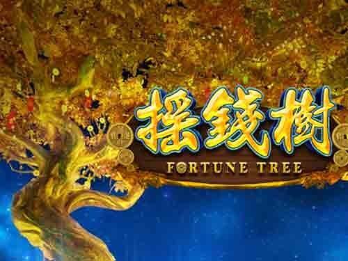 포춘 트리 Fortune Tree