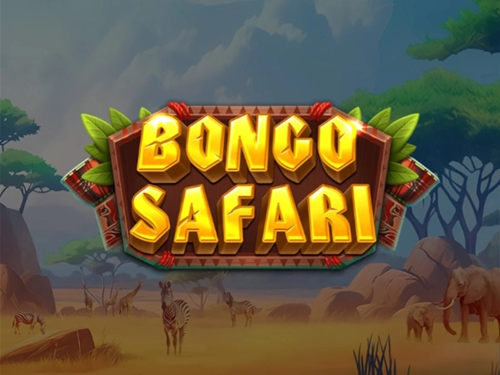 봉고 사파리 Bongo Safari