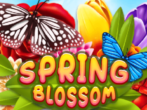 스프링 블라썸 Spring Blossom