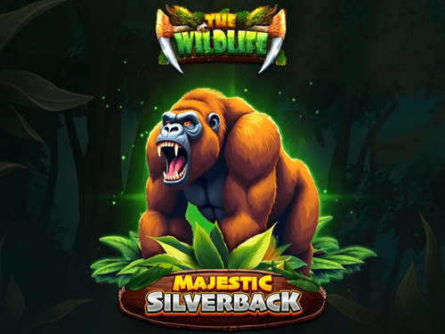 마제스틱 실버백 Majestic Silverback