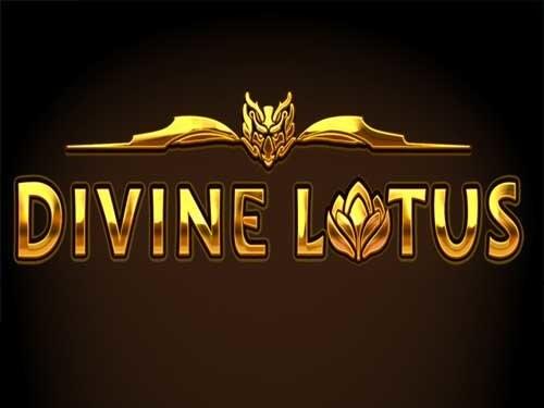 디바인 로터스 Divine Lotus