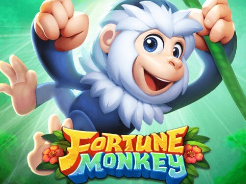 포춘 몽키 Fortune Monkey