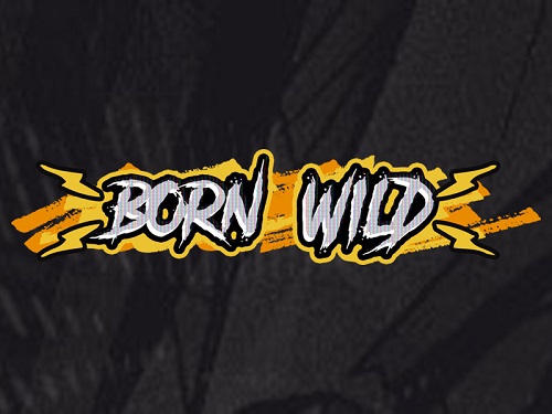 본 와일드 Born Wild
