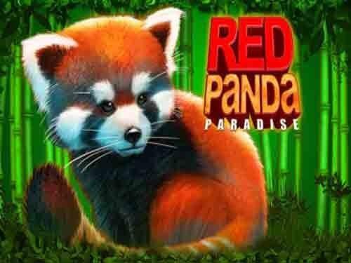 레드 판다 파라다이스 Red Panda Paradise