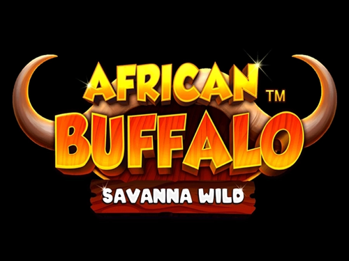 아프리칸 버팔로 사바나 와일드 African Buffalo Savanna Wild