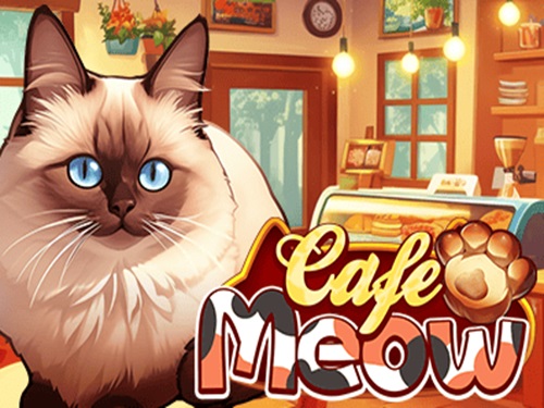 카페 미야오 Cafe Meow
