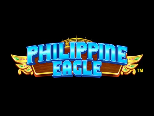 필리핀 이글 Philippine Eagle