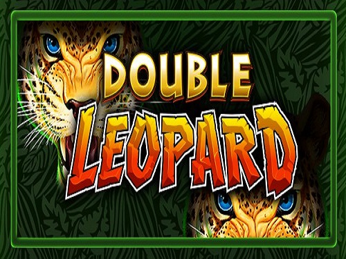 더블 레오파드 Double Leopard