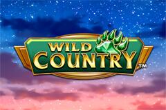 와일드 컨트리 Wild Country