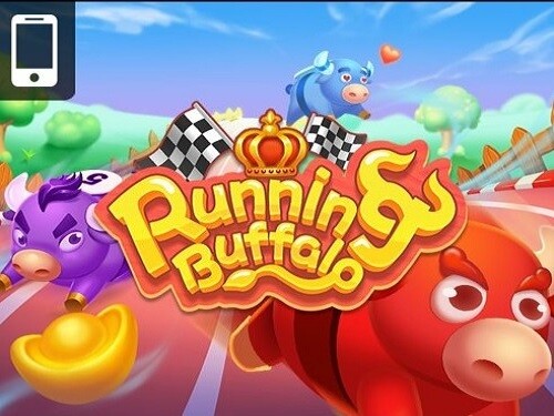 러닝 버팔로 Running Buffalo