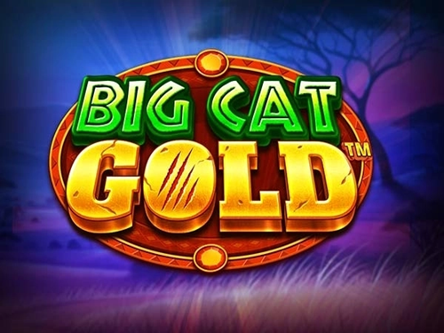 빅 캣 골드 Big Cat Gold