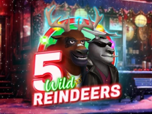 5 와일드 레인디어스 5 Wild Reindeers