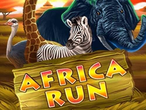 아프리카 런 Africa Run