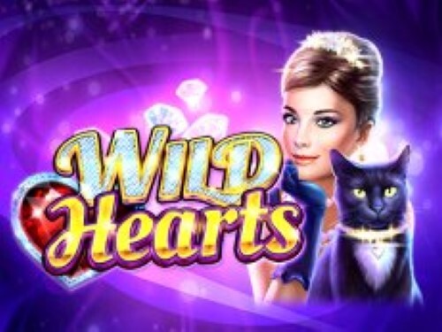 와일드 하츠 Wild Hearts