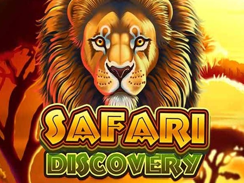 사파리 디스커버리 Safari Discovery