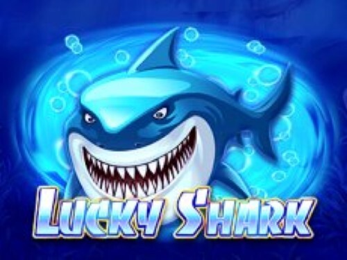 럭키 샤크 Lucky Shark