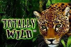 토탈리 와일드 Totally Wild