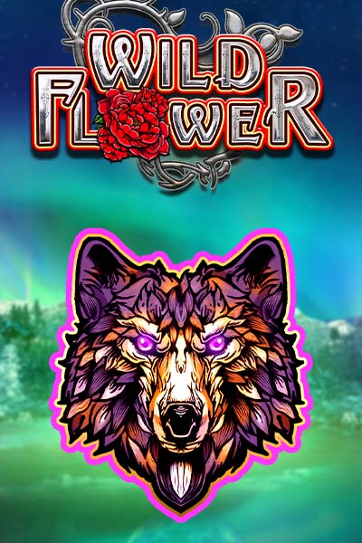 와일드 플라워 Wild Flower 