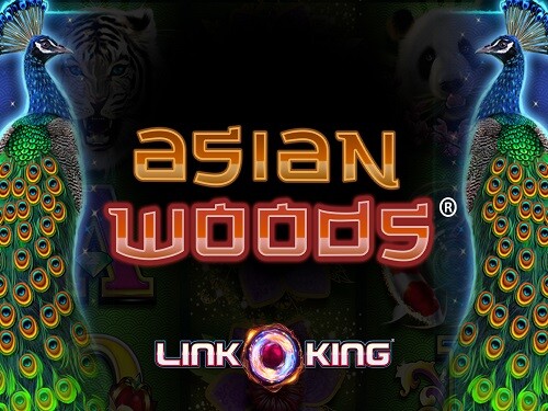 아시안 우즈 Asian Woods