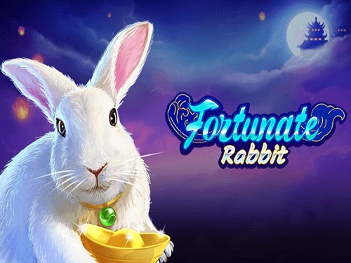포추네이트 래빗 Fortunate Rabbit