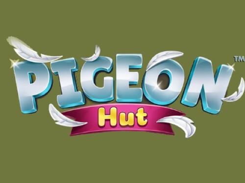 피전 헛  Pigeon Hut