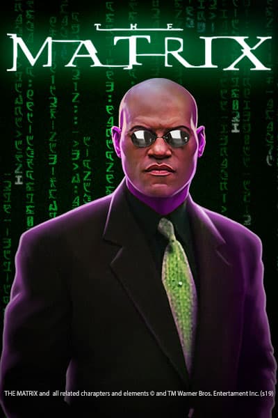 더 매트릭스 The Matrix
