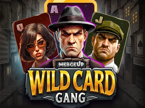 와일드 카드 갱 Wild Card Gang