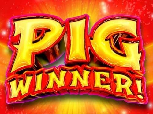 피그 위너 Pig Winner