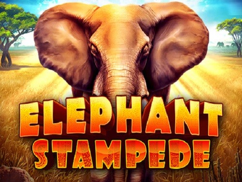 엘리펀트 스탬피드 Elephant Stampede