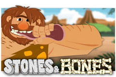 스톤스 앤 본스 Stones & Bones