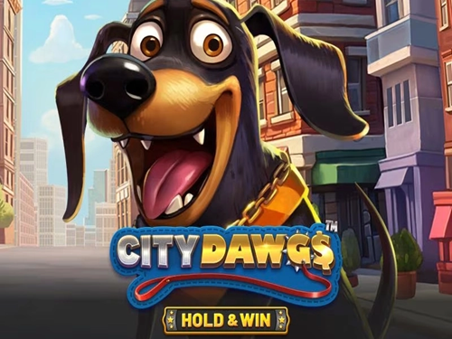 시티 도그스 홀드 앤 윈 City Dawgs Hold & Win