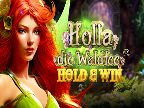 홀라 디 발트페 홀드 앤 윈 Holla die Waldfee Hold & Win