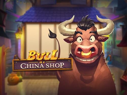 불 인 어 차이나 숍 Bull in a China Shop