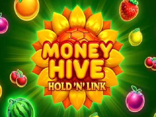 머니 하이브 홀드 앤 링크 Money Hive Hold 'N' Link