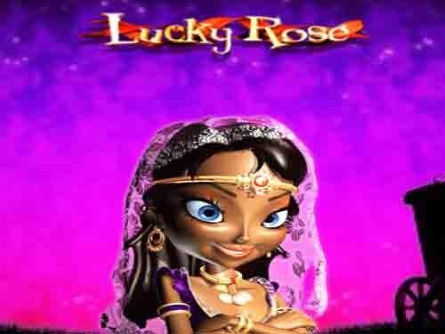 럭키 로즈 Lucky Rose
