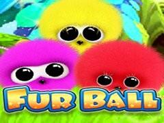 퍼 볼 Fur Ball