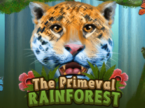 프라이미벌 레인포레스트 Primeval Rainforest