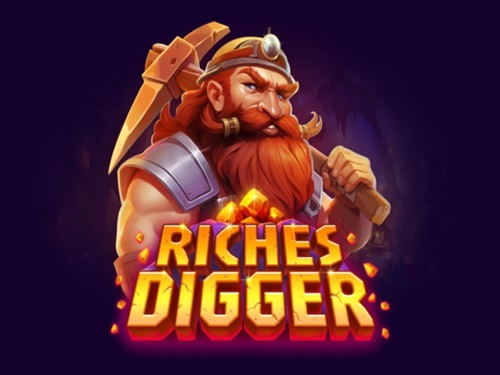 리치스 디거 Riches Digger