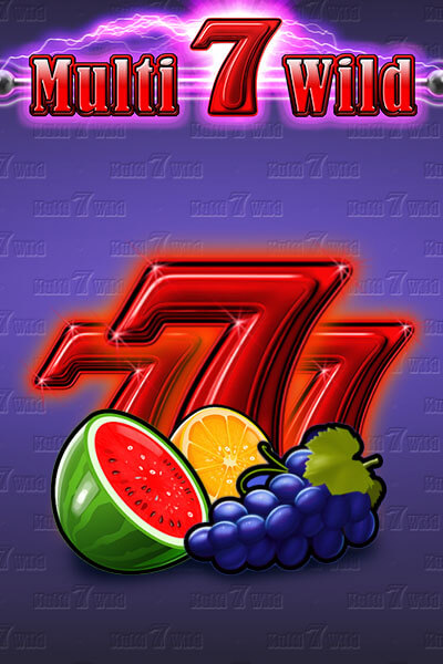 멀티 7 와일드 Multi 7 Wild