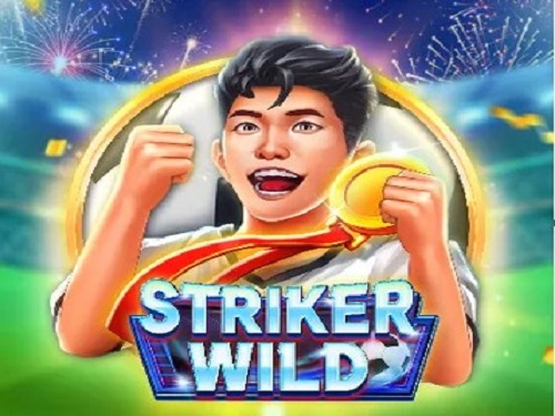스트라이커 와일드 Striker Wild